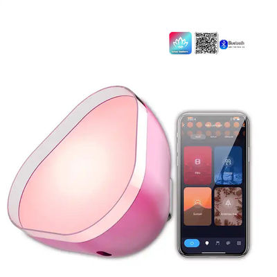 Goede prijs. USB-laden Atmosfeer LED-lichten RGBIC Bluetooth Op maat online